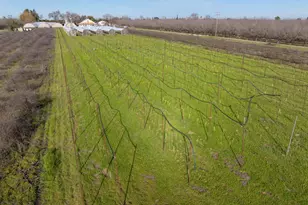 33543 Co Rd 13, Zamora, CA 95698 - Photo 34