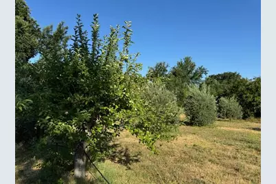 17058 Road 57, Guinda, CA 95637 - Photo 26