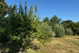 17058 Rd 57, Guinda, CA 95637 - Photo 26