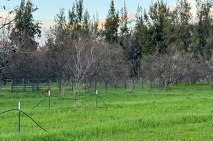 17058 Rd 57, Guinda, CA 95637 - Photo 6