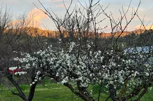 17058 Rd 57, Guinda, CA 95637 - Photo 4