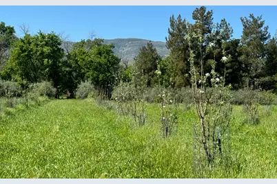 17058 Road 57, Guinda, CA 95637 - Photo 76