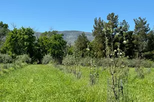 17058 Rd 57, Guinda, CA 95637 - Photo 76