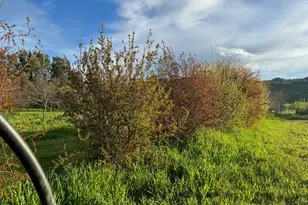 17058 Rd 57, Guinda, CA 95637 - Photo 74