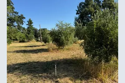 17058 Road 57, Guinda, CA 95637 - Photo 30