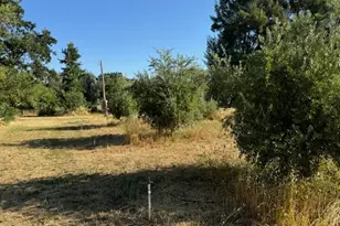 17058 Rd 57, Guinda, CA 95637 - Photo 30