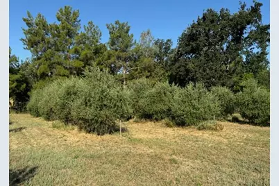 17058 Road 57, Guinda, CA 95637 - Photo 58