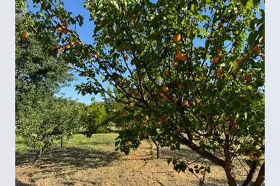 17058 Road 57, Guinda, CA 95637 - Photo 12