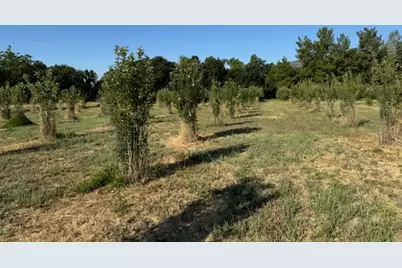 17058 Road 57, Guinda, CA 95637 - Photo 60