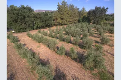 17058 Road 57, Guinda, CA 95637 - Photo 70