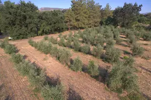 17058 Rd 57, Guinda, CA 95637 - Photo 70