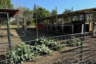 17058 Rd 57, Guinda, CA 95637 - Photo 14