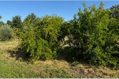 17058 Road 57, Guinda, CA 95637 - Photo 24