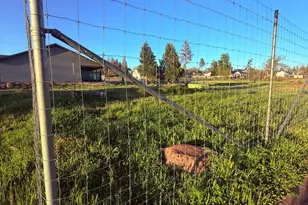 3696 3696 Neal Rd, Paradise, CA 95969 - Photo 30