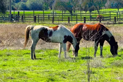 9862 Whalen Road, Wallace, CA 95252 - Photo 1