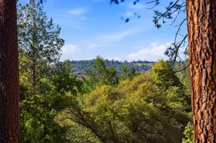 1700 Sanromo Dr, Greenwood, CA 95635 - Photo 90