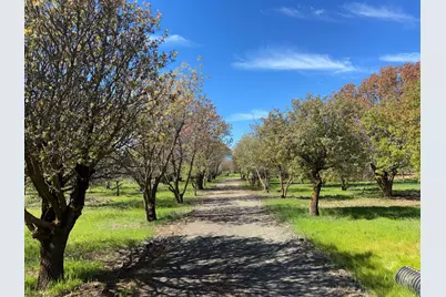 27550 County Road 88, Winters, CA 95694 - Photo 6