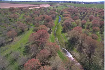 27550 County Road 88, Winters, CA 95694 - Photo 12