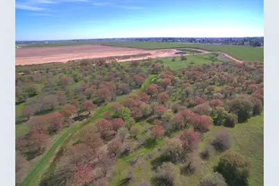 27550 County Road 88, Winters, CA 95694 - Photo 20