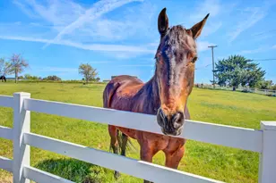 19699 Co Rd 94A, Woodland, CA 95695 - Photo 70