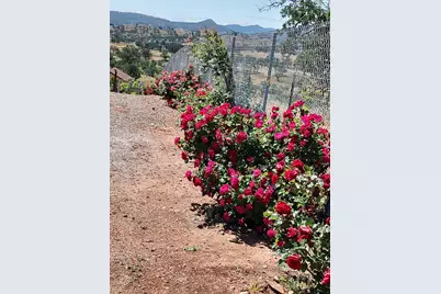 25837 County Road 34, Winters, CA 95694 - Photo 90