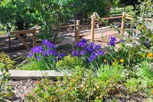 25837 Co Rd 34, Winters, CA 95694 - Photo 92