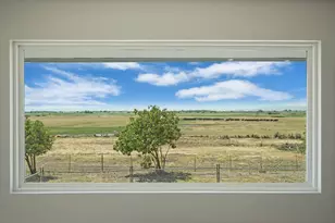 2650 Twitchell Island Rd, Rio Vista, CA 94571 - Photo 20