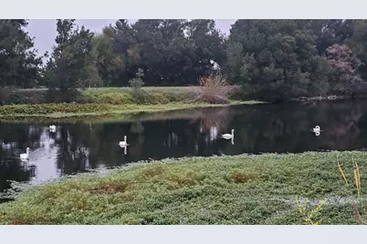 2650 Twitchell Island Rd, Rio Vista, CA 94571 - Photo 40