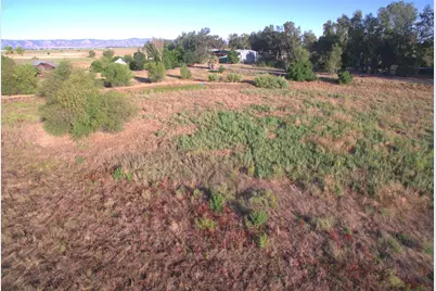 21000 County Road 95, Woodland, CA 95695 - Photo 48