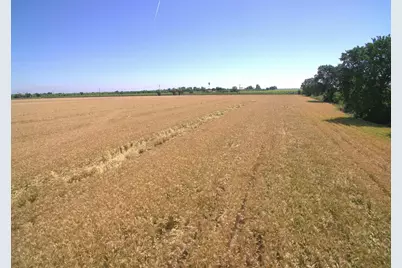 0 County Road 86A, Esparto, CA 95627 - Photo 12