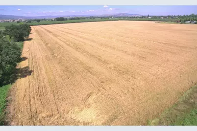 0 County Road 86A, Esparto, CA 95627 - Photo 4