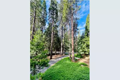27165 Barton Road, Pioneer, CA 95666 - Photo 4