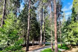 27165 Barton Rd, Pioneer, CA 95666 - Photo 4