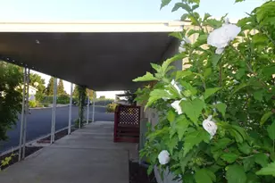 18450 N Hwy 88, Lockeford, CA 95237 - Photo 20