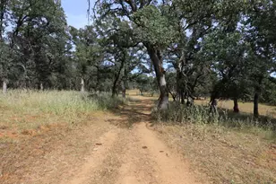 1484 Oregon Gulch Rd, Oroville, CA 95965 - Photo 72