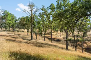 1484 Oregon Gulch Rd, Oroville, CA 95965 - Photo 24