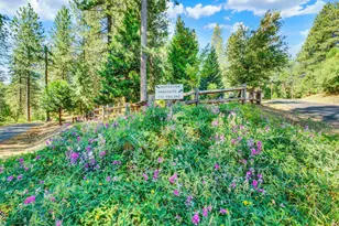 27128 Manzanita Ct, Pioneer, CA 95666 - Photo 42
