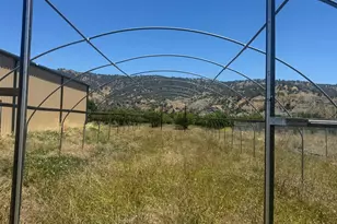 15185 Co Rd 42, Guinda, CA 95637 - Photo 10