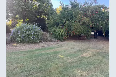 25397 County Road 96, Davis, CA 95616 - Photo 38