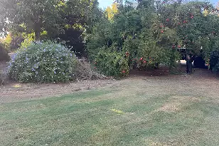 25397 Co Rd 96, Davis, CA 95616 - Photo 38