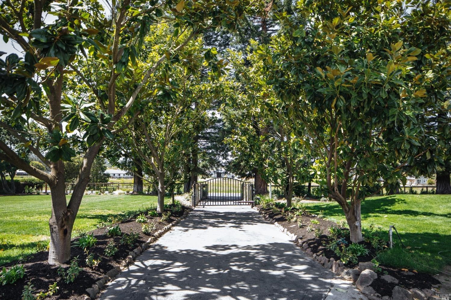 1030 Thompson Ln, Petaluma CA  94952-1242 exterior