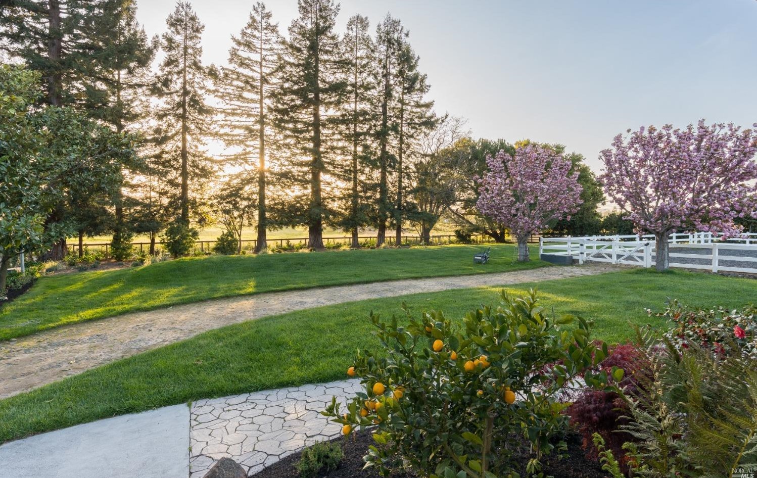 1030 Thompson Ln, Petaluma CA  94952-1242 exterior