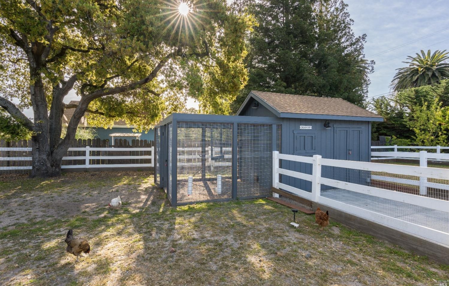 1030 Thompson Ln, Petaluma CA  94952-1242 exterior
