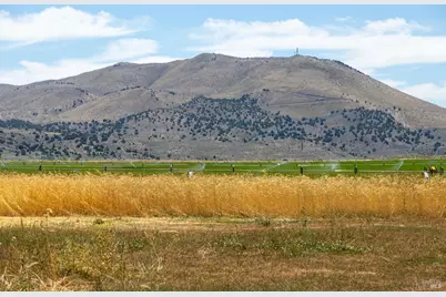 425 Constantia Road, Doyle, CA 96109 - Photo 6