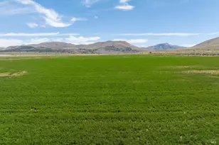 425 Constantia Rd, Doyle, CA 96109 - Photo 12