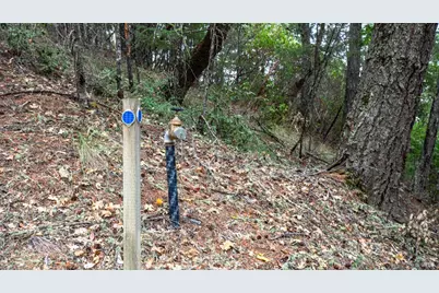 505 McNair Road, Cloverdale, CA 95425 - Photo 46