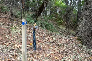 505 McNair Rd, Cloverdale, CA 95425 - Photo 46