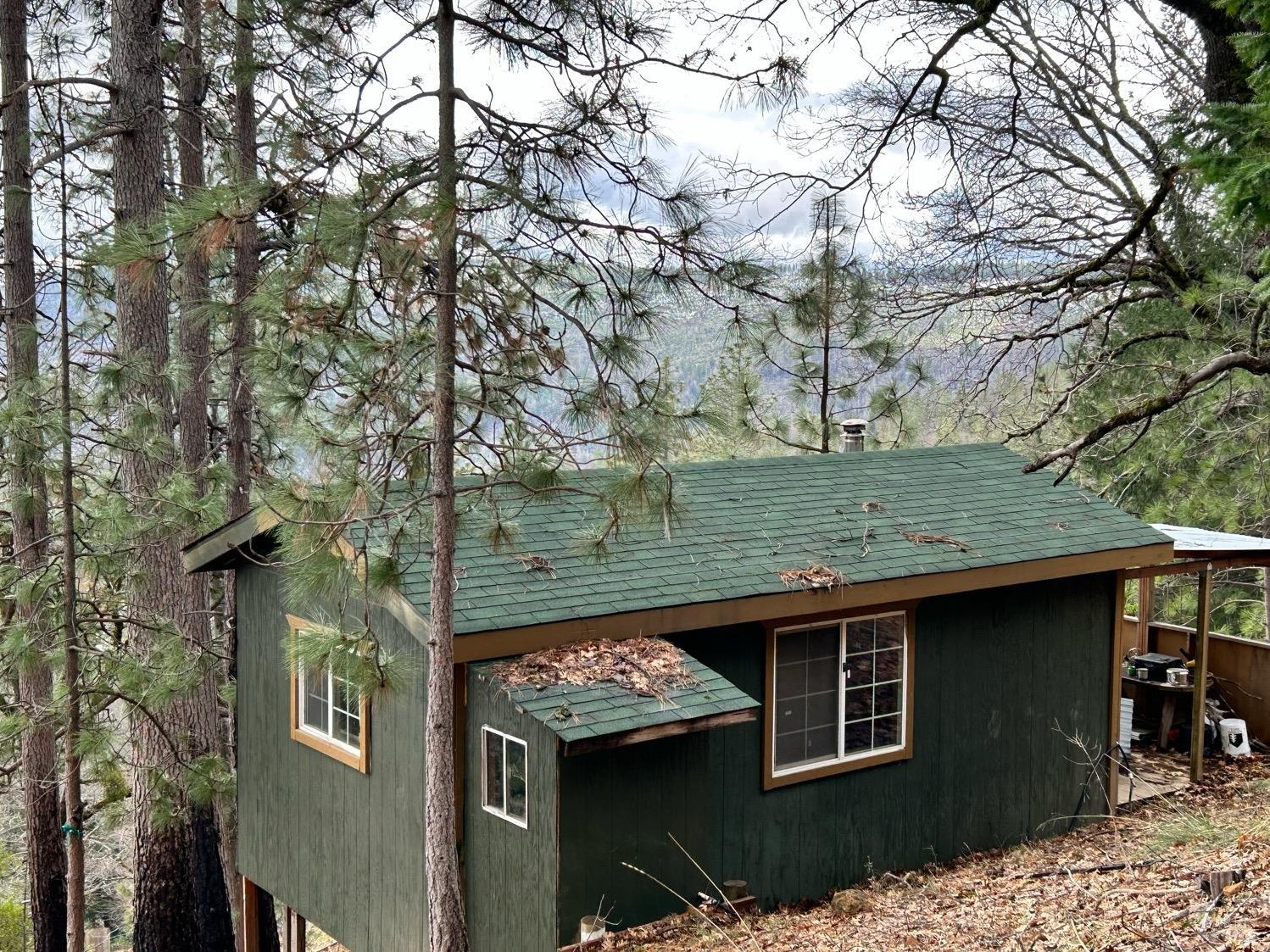 12389 Ridge Rd, Middletown, CA 95461-9572