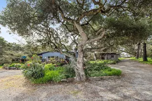 1208 Pierce Point Rd, Inverness, CA 94937 - Photo 52