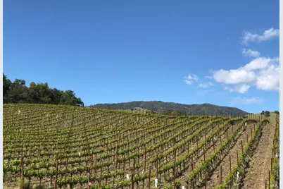 577 Artisan Circle, Geyserville, CA 95441 - Photo 44